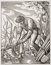 The Wine Grower, after an Engraving by Jost Amman from 